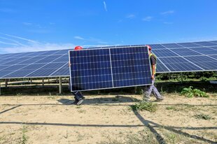 Mitarbeiter einer Montagefirma tragen ein Solarmodul durch den Solarpark in Langenenslingen, der größte Solarpark in Baden-Württemberg.