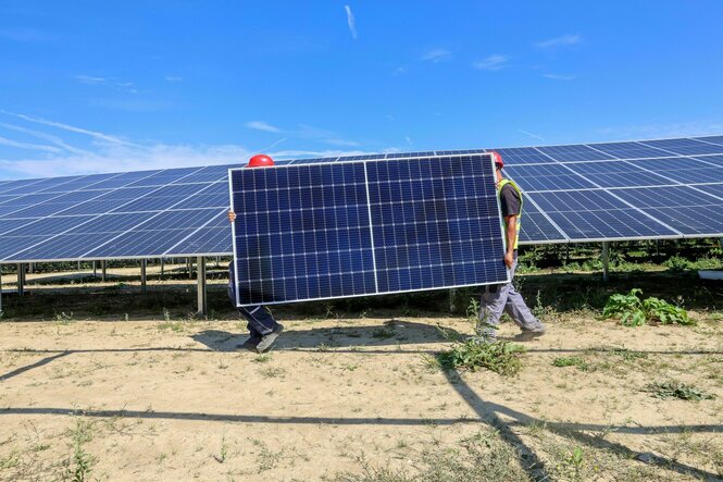Mitarbeiter einer Montagefirma tragen ein Solarmodul durch den Solarpark in Langenenslingen, der größte Solarpark in Baden-Württemberg.