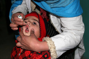 Ein Mädchen erhält eine Polio-Impfung