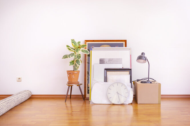 Bilderrahmen, Pflanze und Lampe stehen an einer weißen Wand