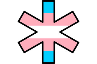 Trans Flagge im Gendersternchen