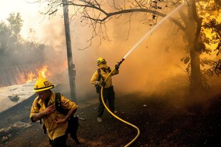 Feuerwehrleute bekämpfen Waldbrand