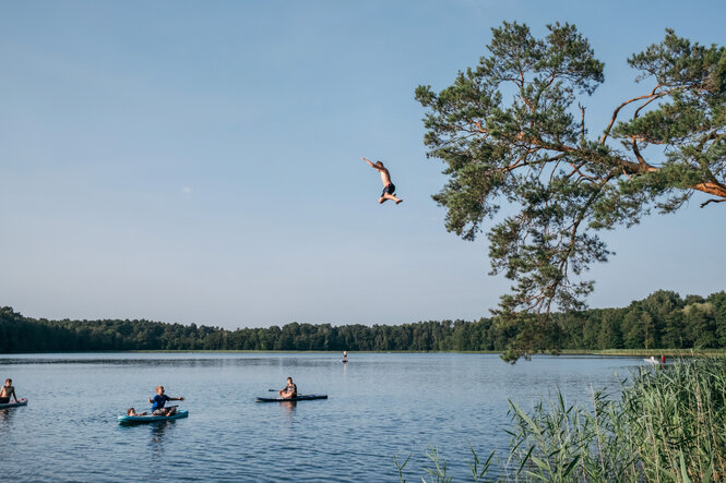 Ein Kind springt von einem Baum in einem See.