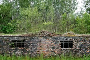 Ein zusammengefallenes Backsteinhaus ist mit Gras überwachsen, es ist die ehemalige Küche des KZ Ellrich-Juliushütte