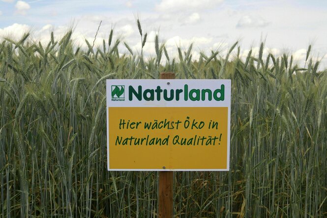 Vor einem Getreidefeld steht ein Schild mit dem Hinweis: Naturland - hier wächst Öko in Naturland Qualität