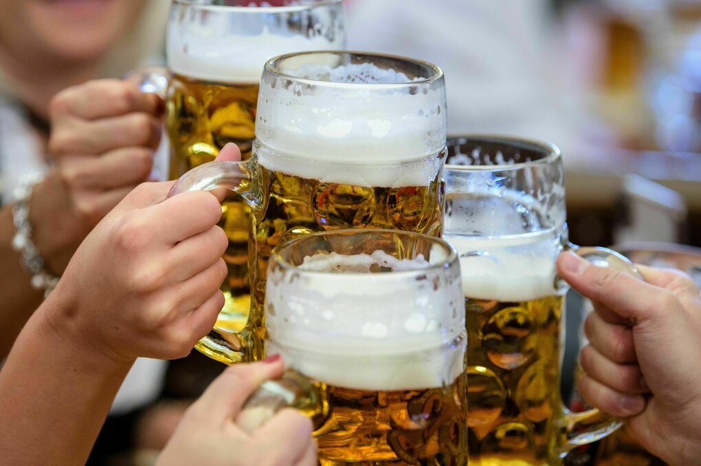 Besucher stoßen auf dem Münchner Oktoberfest mit Maßkrügen voller Bier an.