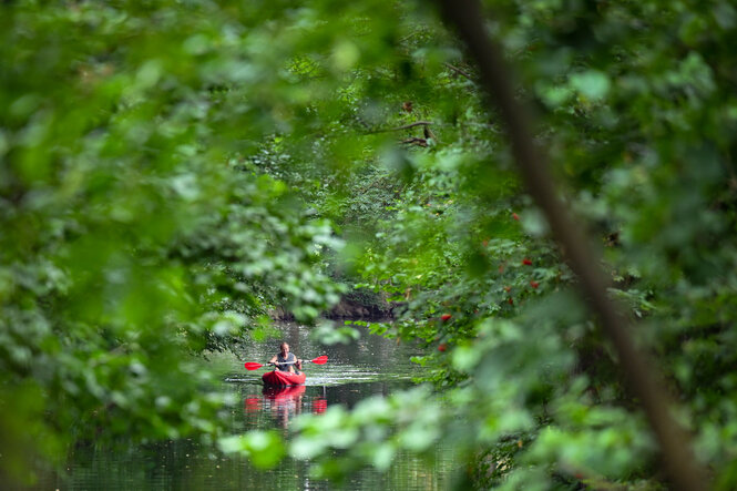 Paddler auf einen Wasserlauf im Spreewald