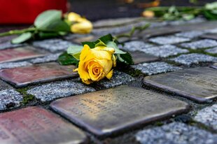 Gelbe Rosen auf Stolpersteinen