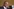Ein Mann im Anzug (Peter Mutharika) spricht in ein Mikrofon