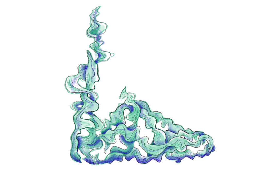 Illustration zeigt einen Schuh aus Algen.