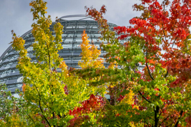 Herbstlische Zweige vor der Kuppel des Reichstags in Berlin