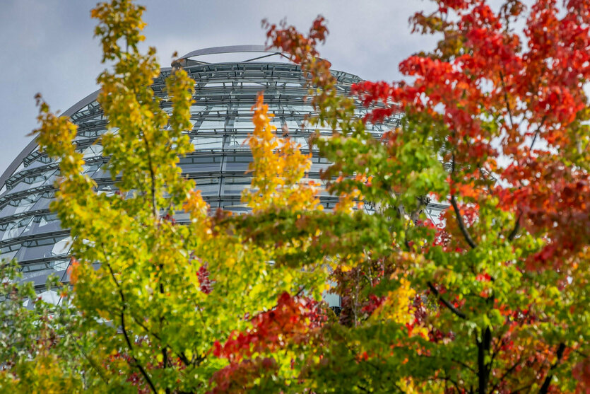 Herbstlische Zweige vor der Kuppel des Reichstags in Berlin