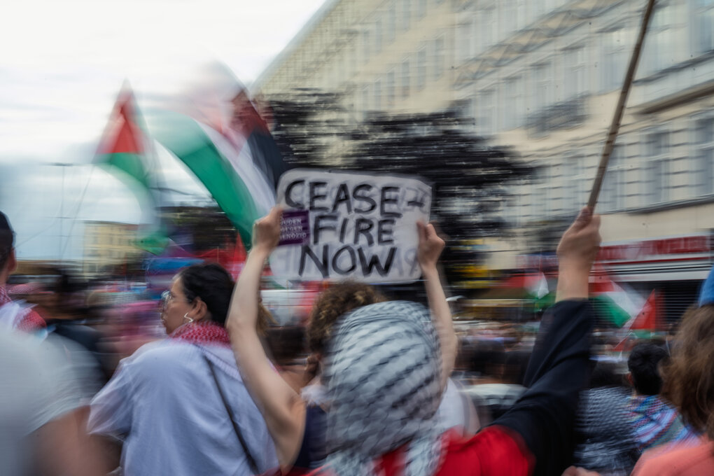 Cease Fire Now: