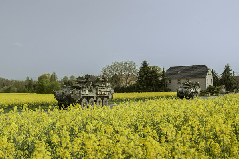 Panzer fahren auf einer Straße durch Rapsfelder