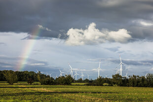 Ein Regenbogen steht bei Sonnenschein über einem Feld, auf dem Windräder stehen.