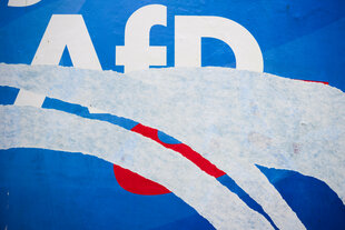 Ein angerissenes AfD-Plakat