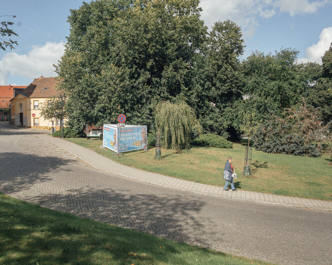 Ein AfD-Plakat an einer leeren Straße