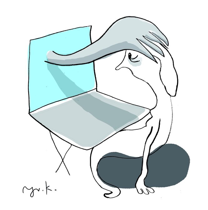 Illustration zeigt eine Person vor einem Computer.
