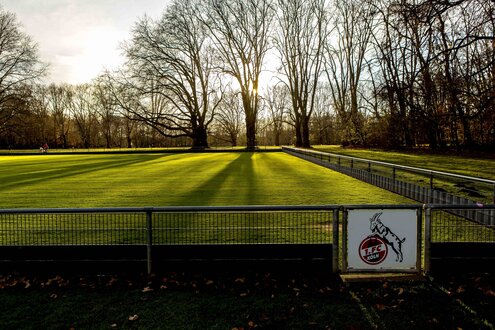 Fußballplatz des 1. FC Köln im Herbstlicht