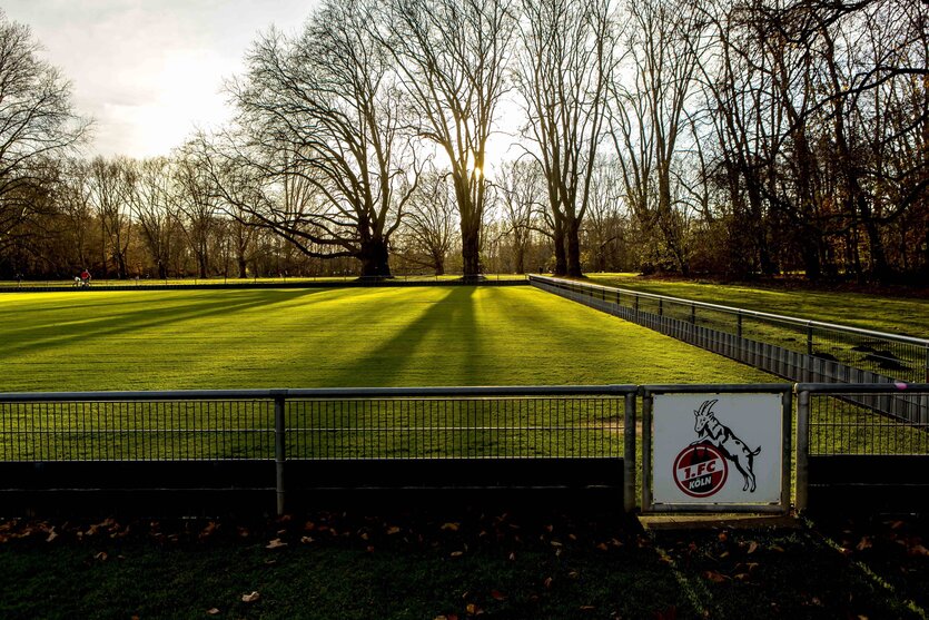 Fußballplatz des 1. FC Köln im Herbstlicht