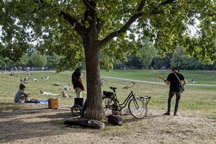 Ein Mann und eine Frau musizieren in einem Berliner Park