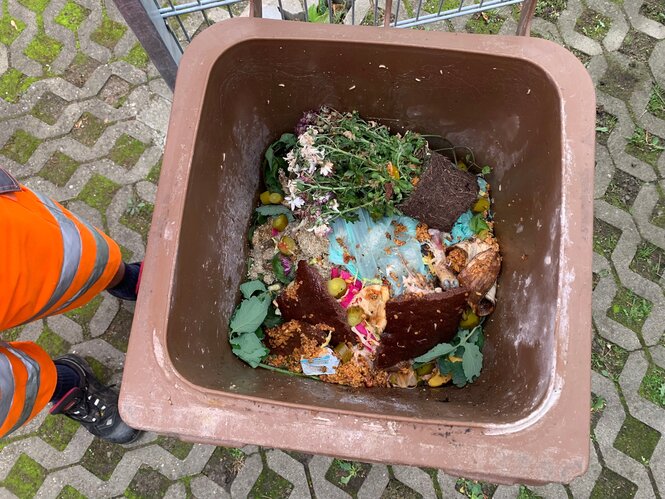 In einer braunen Mülltonne liegen verdorrte Topfpflanzen, Essensreste und eine Plastiktüte.