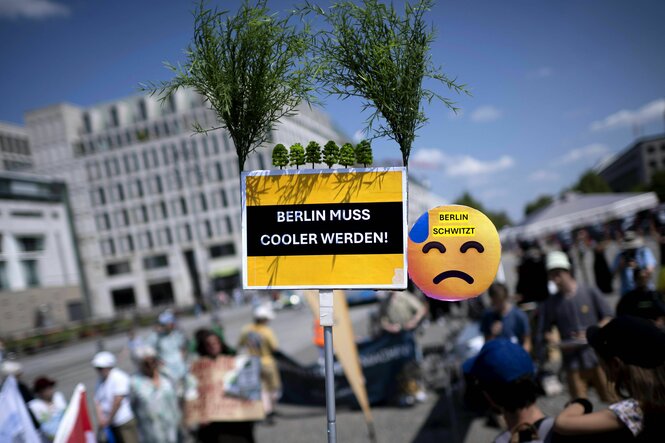 Demo für Baumentscheid
