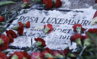 Grab von Rosa Luxemburg mit roten Nelken drauf