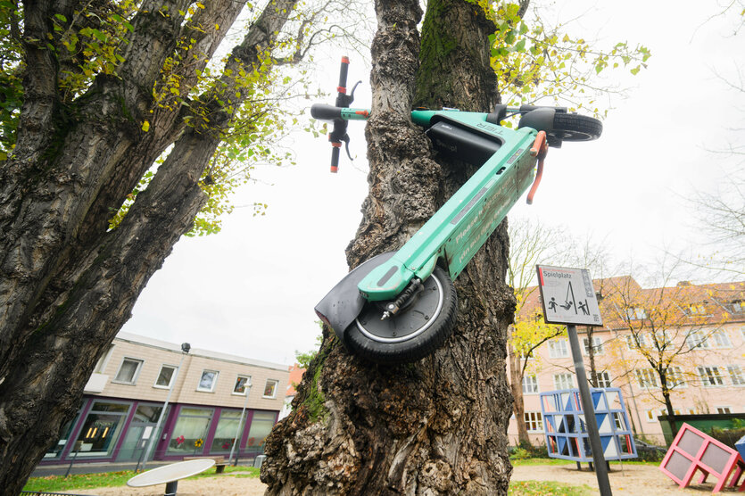 E-Scooter im Baum