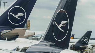 Verschiedene Lufthansa-Maschinen am Flughafen Rhein-Main