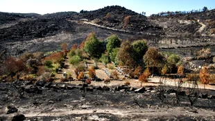 Bewsserung in Spanien: Die Wasserflsterer | taz.de