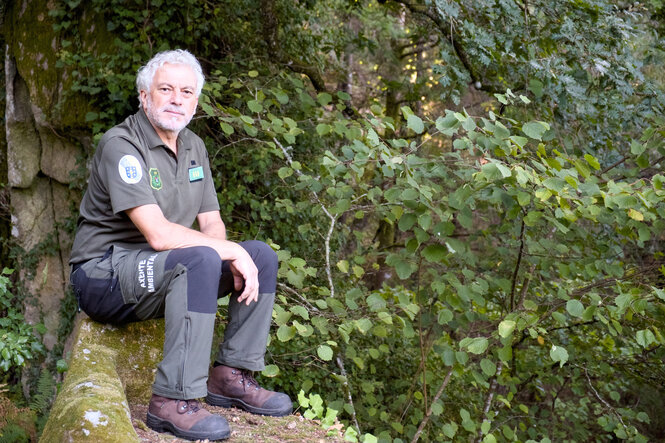 Der Förster Xosé Santos sitzt zwischen Bäumen auf einem Stein