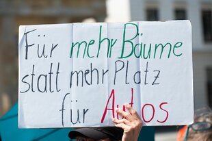 Das Foto zeigt ein Pappschild, dass sich für die Ziele der Baum-Initiative einsetzt