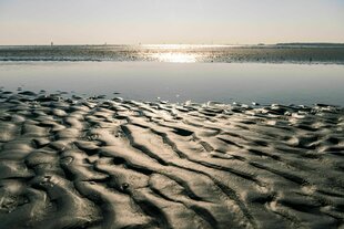 Wattenmeer im Gegenlicht der Sonne