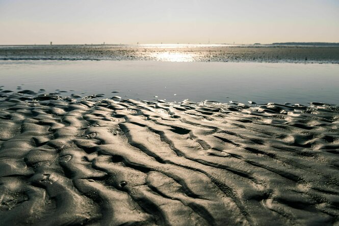 Wattenmeer im Gegenlicht der Sonne