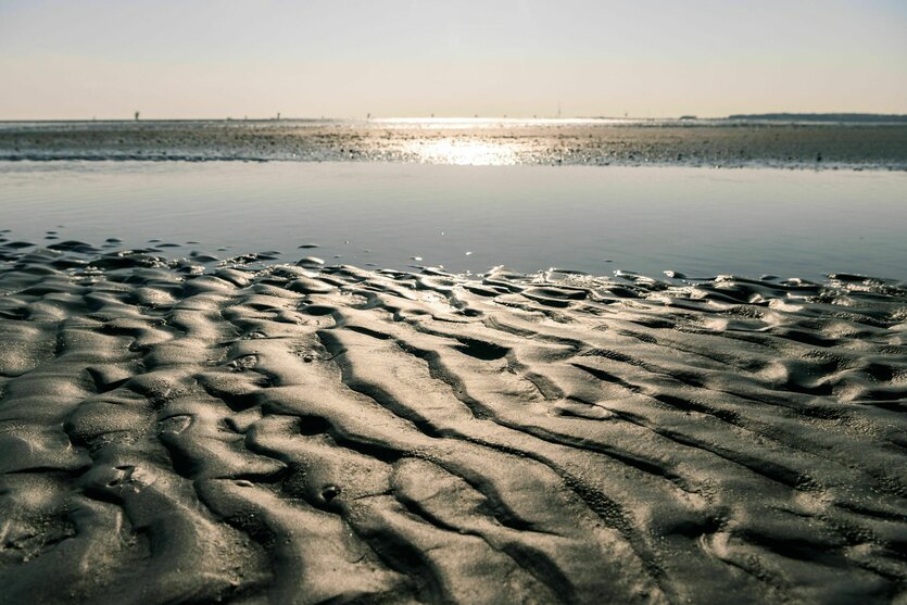 Wattenmeer im Gegenlicht der Sonne
