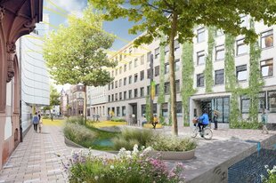 Die Architektenzeichnung zeigt wie es auf der Prinzenstraße nach dem Umbau aussehen soll - viel Grün mit Bäumen und Beeten, breite Bürgersteige, begrünte Hausfassaden.
