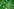 in sattem grüne gemalte Smileys und weniger oder mehr glückliche Gesichter in sattem grüne gemalte Smileys und weniger oder mehr glückliche Gesichter