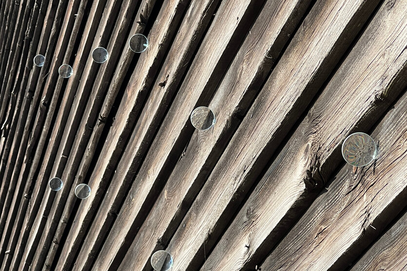 Nahaufnahme einer verwitterten, dunklen Holzverschalung mit kleinen, konvexen Glaslinsen, die wie Tränen oder Blütenblätter an den Latten haften und Licht einfangen.