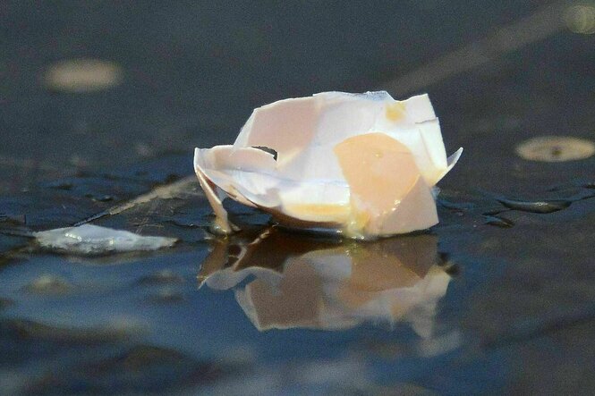 Ein zerbrochenes Hühnerei liegt au der Straße