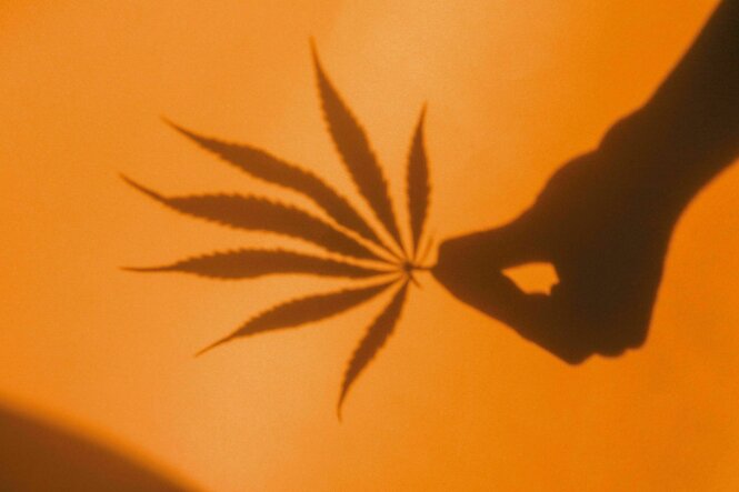 Der Schatten einer Hand, die ein Cannabisblatt hält, vor orangenem Hintergrund