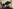 Bad Bunny mit Sonnenbrille und Barrett