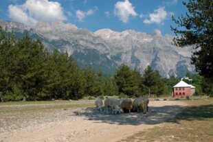 Ein Tal in Albanien