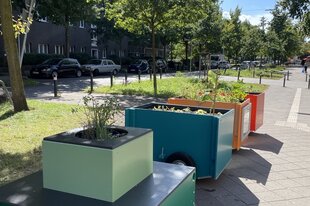 Drei Hochbeete stehen in farbigen Kisten nebeneinander auf einem Weg.
