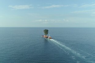 Ein Baum wird auf einem Schiff über das Meer transportiert
