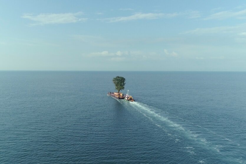 Ein Baum wird auf einem Schiff über das Meer transportiert