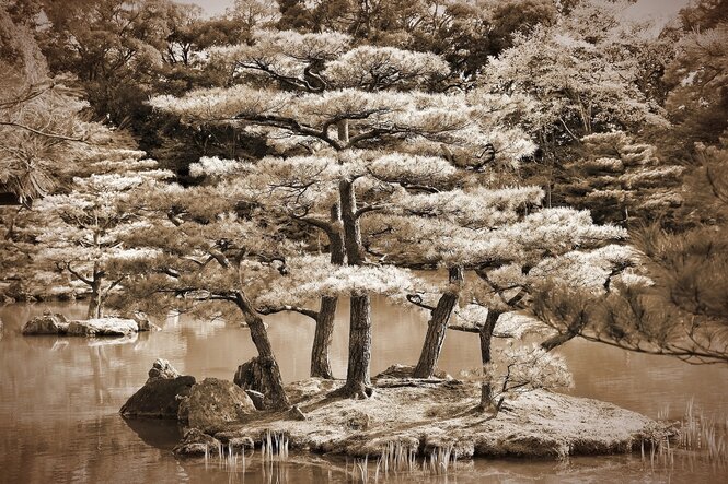 Eine schöne japanische Gartenlandschaft