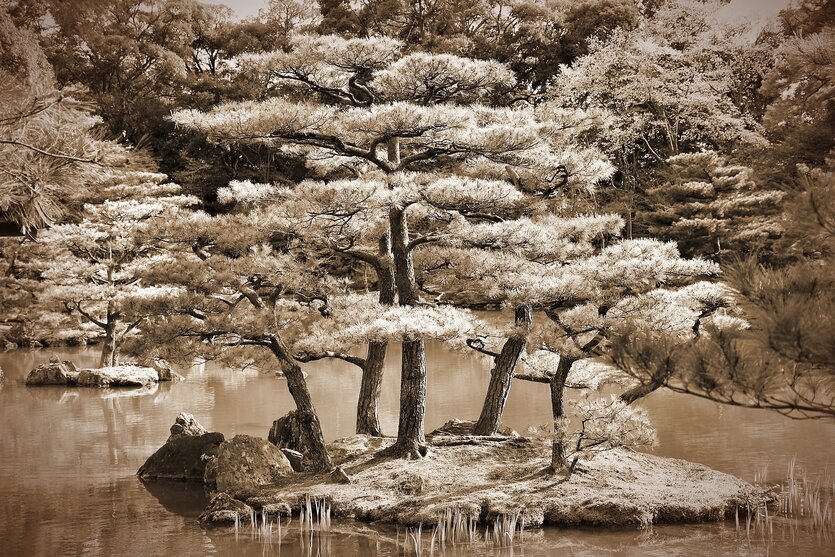 Eine schöne japanische Gartenlandschaft