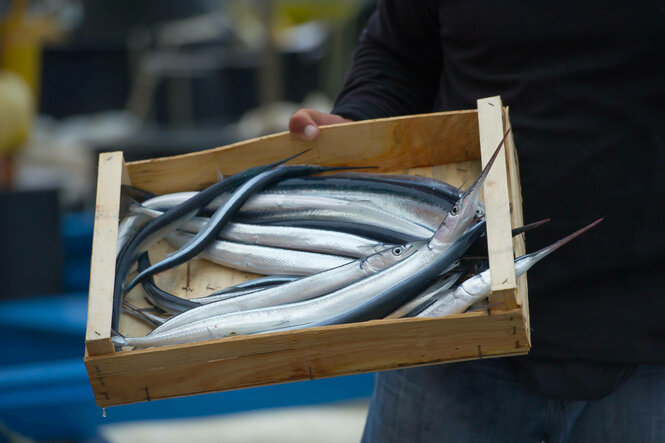 Fische in einer Holzkiste