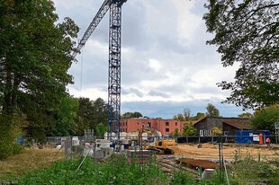 Baukran auf einer Baustelle ziwschen hohen Bäumen